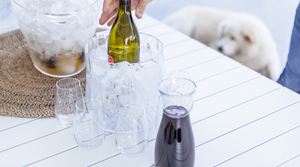 Plastic Drinkware with Glass-Like Elegance