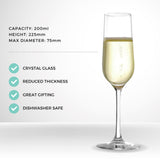Stolzle Revolution Champagne Flutes 200ml - Set of 6 Glassware Stolzle 